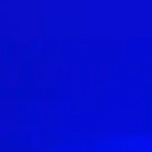 Meet your Posher, Alida